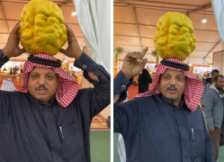 فيديو أكبر حبة ترنج في السعودية