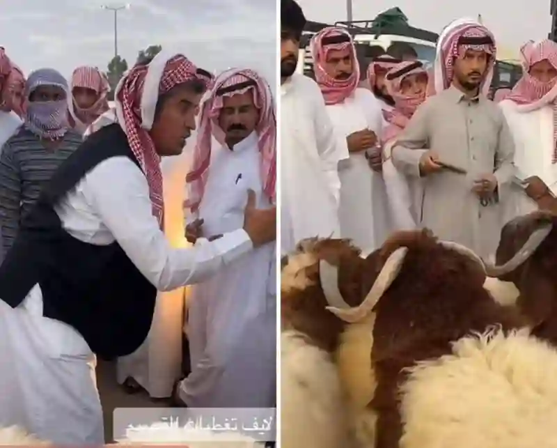 مزاد على خرفان في السعودية ينتهي بمفاجأة 